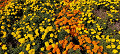 x (12)_thumb.jpg